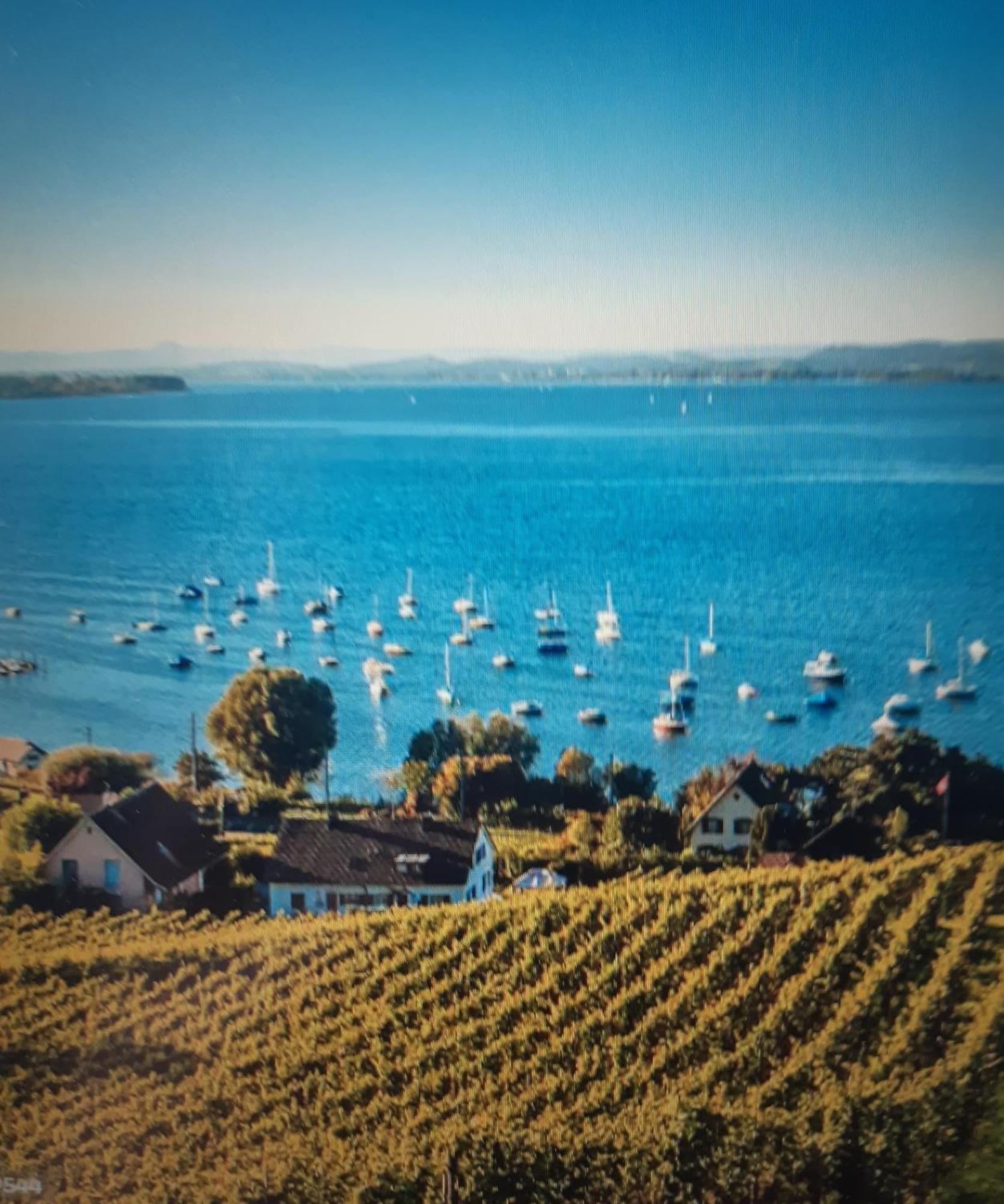 Oberteuringen Ferienzentrum Bodensee מראה חיצוני תמונה